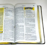 melhor bíblia de estudo para iniciantes