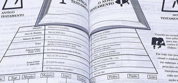 biblia de recursos para o ministério infantil, biblia da apec, biblia de estudo