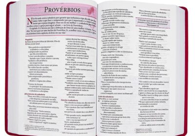 biblia de estudo feminina, biblia para mulher, biblia da mulher