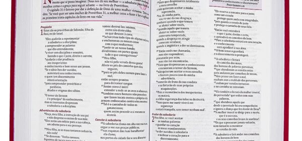 biblia de estudo feminina, biblia para mulher, biblia da mulher